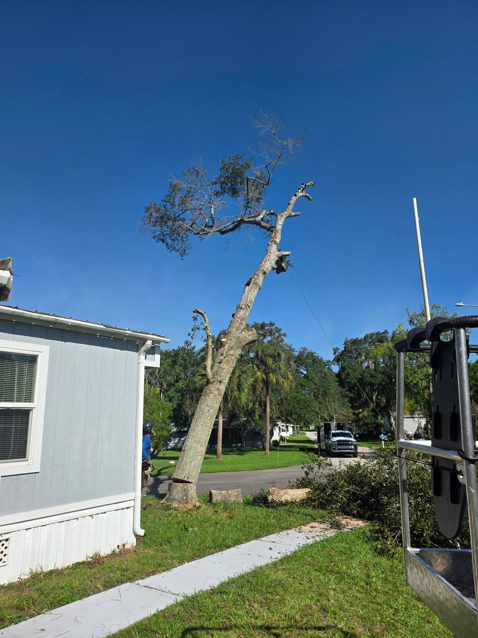 Tree Care Work